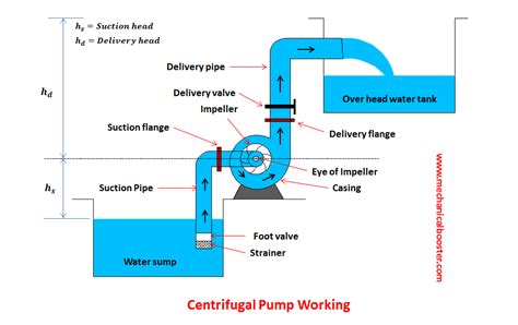 application of centrifugal and reciprocating pump|positive displacement pumps diagram.